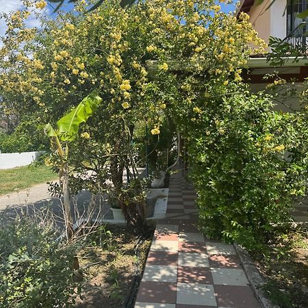 Koala Place Василики Экстерьер фото